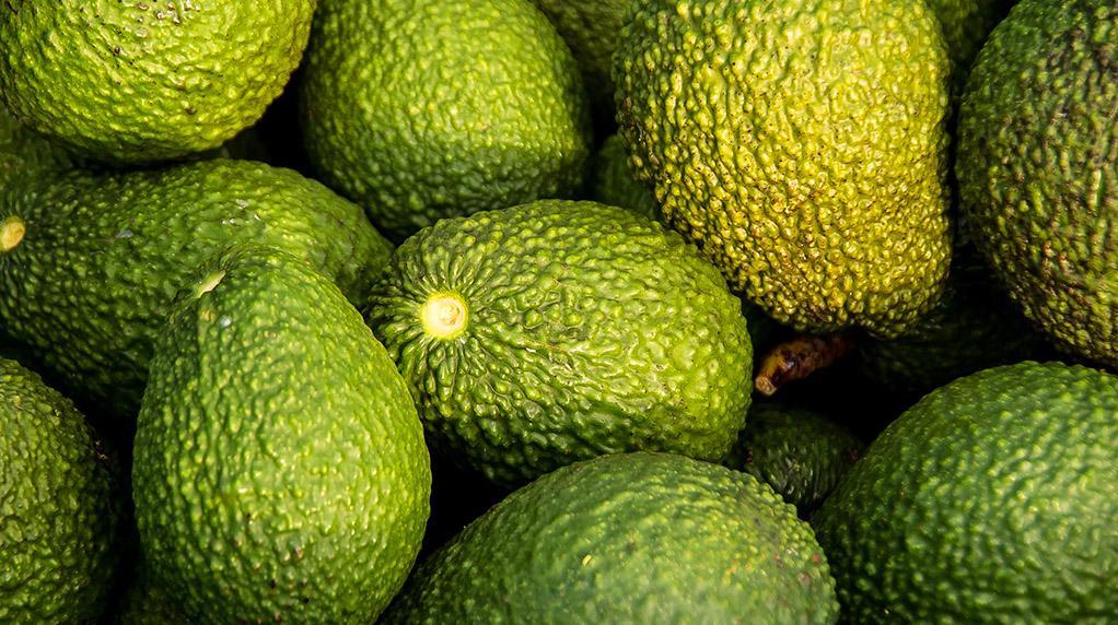 Superfood Avocado - Herkunft, Wirkung und Verzehrtipps